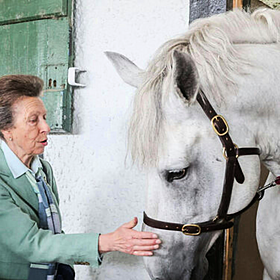 This week marks the 150th anniversary of the Dublin Horse Show Image