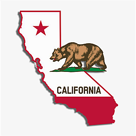 Voters in California react to the US Election Image