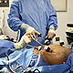 Woman ‘sent home to die’ after botched weight loss surgery in Turkey