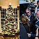 Christmas Tree Arguments, And Television Dramas