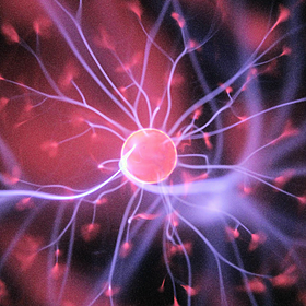 Futureproof Extra: Where do we save our memories? Image