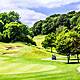 Last Word On The Environment : How Golf Courses Damage The Environment