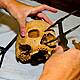 'Our goal is preservation' - Trading human bones
