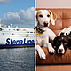 Pet-friendly cabins on ferries: 'The smell is fairly shocking'