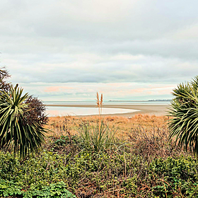 Number of beaches with poor bathing water quality has decreased Image