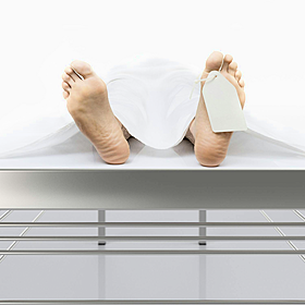 The Life of a Coroner Image