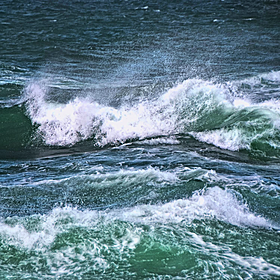 A landmark agreement reached to protect ocean life Image