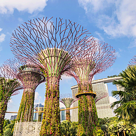 Bobby talks to EY Ireland in Singapore Image