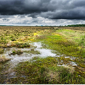 What to do if someone finds a body in a bog Image