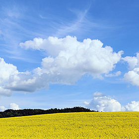 Should we get time off work when it’s sunny? Image