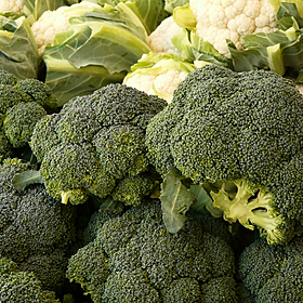 Why we don't like food we haven't eaten - Josh Crosbie Reports Image