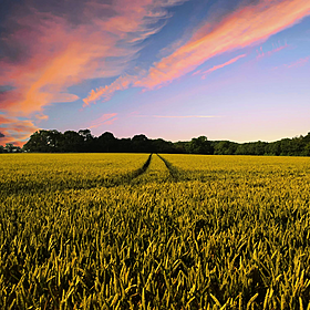 So You Think You’re an Adult: Should I move to my boyfriend’s farm? Image