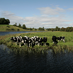 Will this new trade deal hurt Irish farmers? Image
