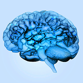 The Battle for Your Brain Image