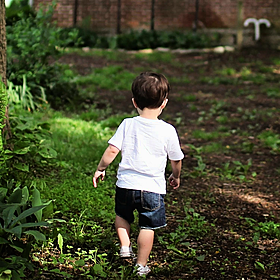 Parenting: Son isn’t happy being an only child Image