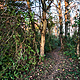 'Something will be done when something happens me': Homeless Wicklow man living in a woods