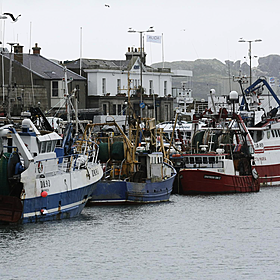 Why Ireland is failing with marine preservation Image