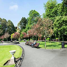 The impact a lack of green space has on people living in inner cities Image
