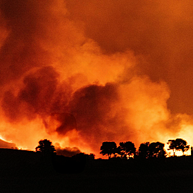 Devastating wildfires sweep across Europe Image