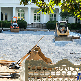 Garden Stories: The White House Rose Garden Image