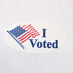 How do Democrats feel about the US Election? Image