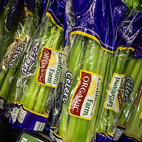 Is it true that we burn more calories chewing celery than are in it? Image
