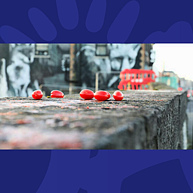 The Week Trending: US TikTok Ban, Cherry Tomato Bridge & Who's Going To Trump's Inauguration? Image