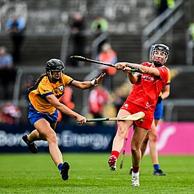 Should the Camogie Association have to go before the Oireachtas? Image