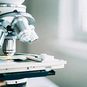 The business of SymPhysis Medical Image