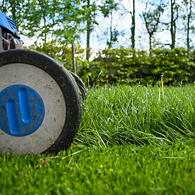 So You Think You’re an Adult: The great grass cutting debate Image