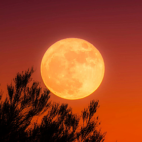 What is a ‘Harvest Moon’ - and what’s happening tonight? Image