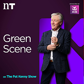 Green Scene: Fascinating behaviour from the insect world Image