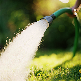 Hold your hoses and conserve water! Image