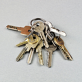 Should single people get grants to buy a house? Image