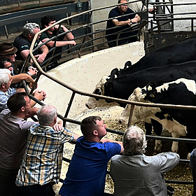 What will a CAP overhaul mean for farmers? - Henry McKean Reports Image