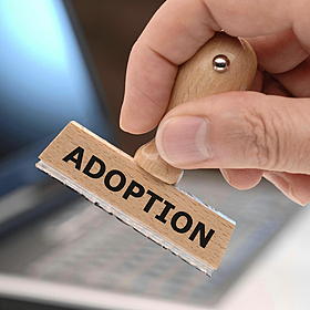 The work of the Adoption Authority of Ireland Image