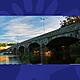 The Last Word On The Environment: More than 40,000 Fish Killed in River Blackwater in Cork