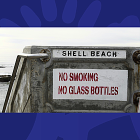The Week Trending: An MEP's AI Letter, Bad Behaviour At Airports & Should Smoking Be Banned On Beaches Image
