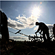 The future of farming report with Josh Crosbie