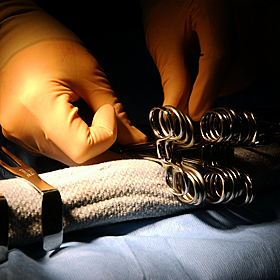 Project to remember victims of Nazi medical experiments Image