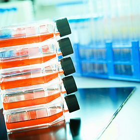 The gene editing therapy that lead a baby to make history Image