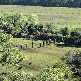 Searches are continuing on the farm of Michael Gaine Image