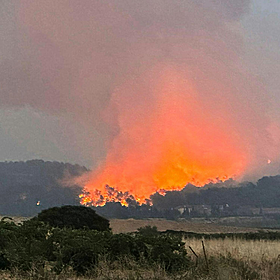 France is facing its biggest wildfire of the summer Image