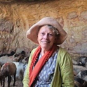 Irish Woman Detained in the West Bank Image