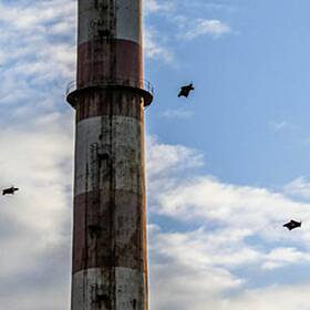 How did the Red Bull skydiving stunt at Poolbeg happen? Image