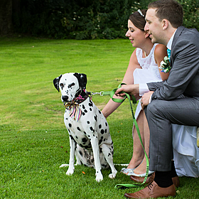 Would you include your dog in your wedding? Image