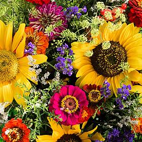 Industry Review: Florists Image