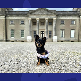 Meet Sockie-The Laois 'Nose Of Tralee' Image