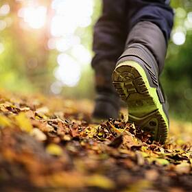 The Benefits of Walking Image