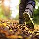 The Benefits of Walking